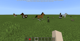 Week 1: Create a Grassland