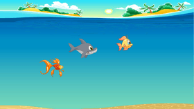 clam ocean