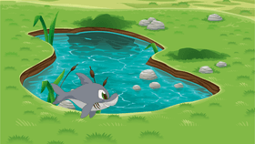 Week 6: Freshwater Quiz