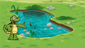 Week 6: Freshwater Quiz