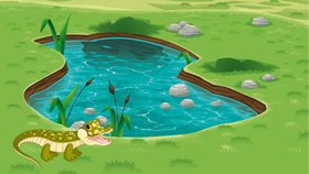 Week 6: Freshwater Quiz