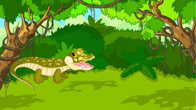 Week 6: Freshwater Quiz