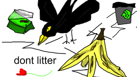 dont litter