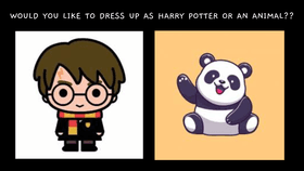 Harry Potter or Celebrity!