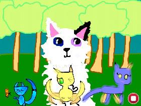 My warroirs oc(warroir cats)