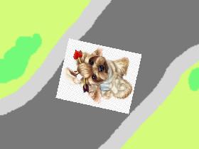 Race Track Maniac 1