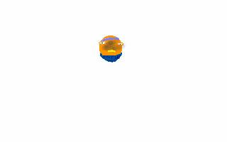 triggerfish head