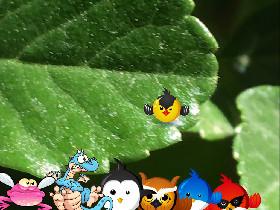 Bird Mayhem 1