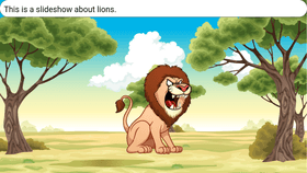 Lion slideshow