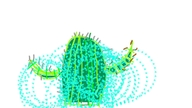 Week 4: Create a Cactus 2