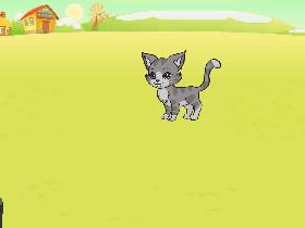 cat glitcher