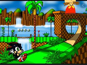 shadow the hedgehog run