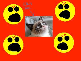 GRUMPY CAT 1