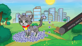 Playing with your cat