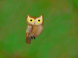 Owl speed Draw  1