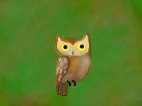 Owl speed Draw  1