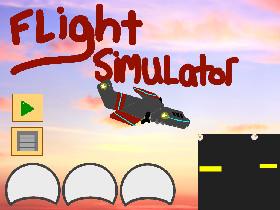 Flight simulator