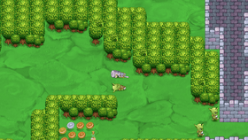 small forest
