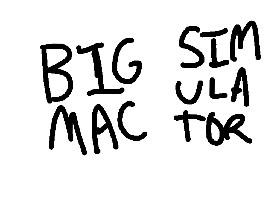 Big Mac Sim