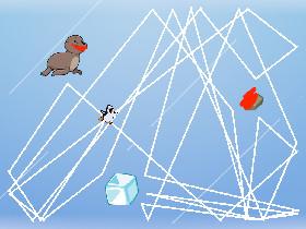 try to kill the animal