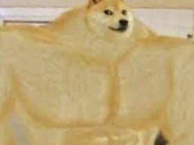 A DIFFERENT DOGE