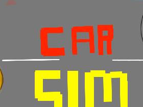 Car Sim RELEASED 1 1