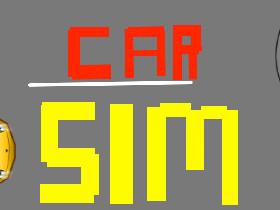 Car Sim RELEASED 1 1