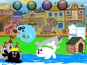 Seal town