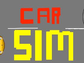 Car Sim RELEASED 1 1