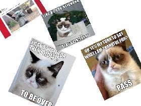 MEMES PLS LIKE