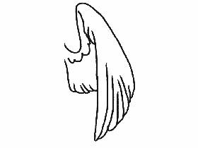 wing animation
