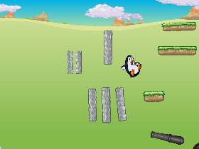 The insane Canonball