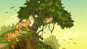 Tiger kingdom