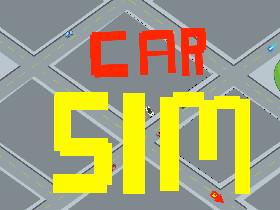 Car Sim RELEASED 1 1