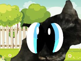 My cat Charlie 1