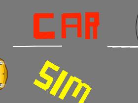 Car Sim RELEASED 1 1