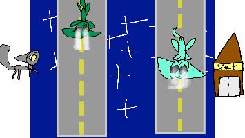 Cat Crossing!