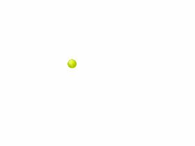 tennis ball stamper 1