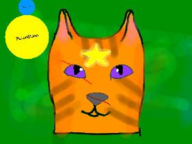 Warrior Cat Maker