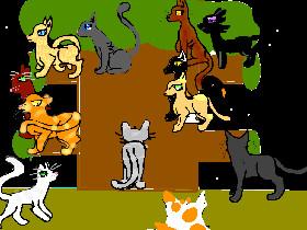 warrior cats ep 1 1