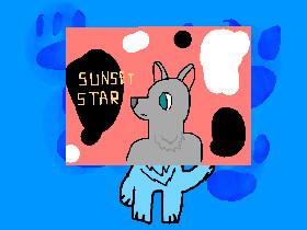 for airbear by sunset star 1