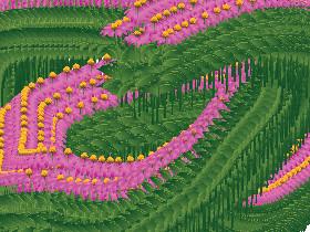 Flower Draw 2