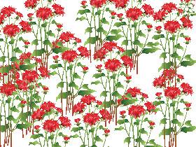 Flower Draw 4