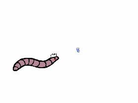 TINY GUY BIG WORM