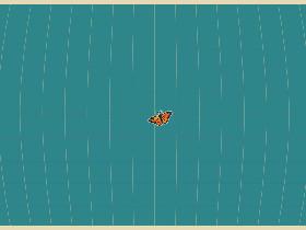 bug to bird