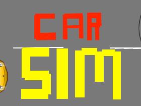 Car Sim RELEASED 2