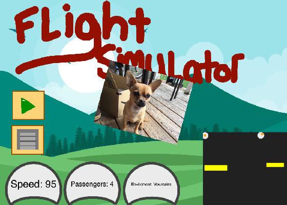 chihuahua pilot landing