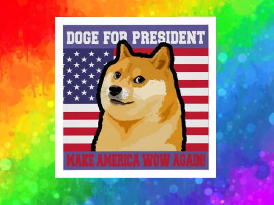 DOGE FOR PRESIDENT 1