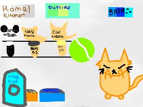 Pet Game (unfinished) !! :)
