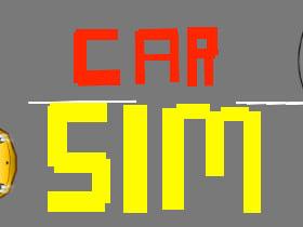 Car Sim Brand new